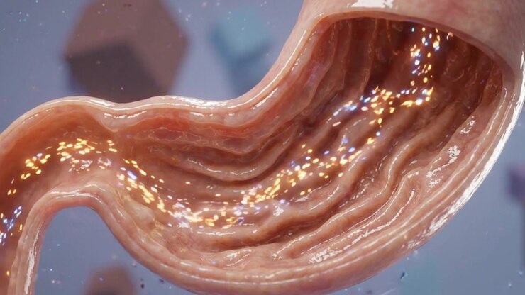 3D Animation of Human Stomach Lining with Glowing Particles