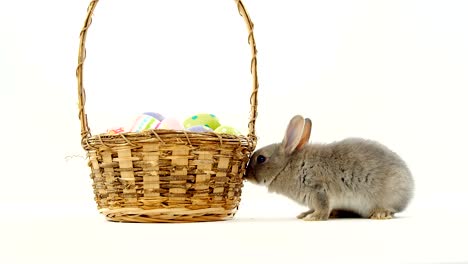 huevos de pascua en canasta de mimbre y conejo de pascua