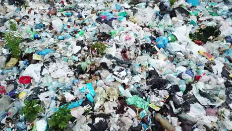 plastic bottles and other trash on sea beach empty used dirty plastic bottles environmental plastic bottles and other trash on sea beach empty used dirty plastic bottles environmental pollution and ecological problem concept
