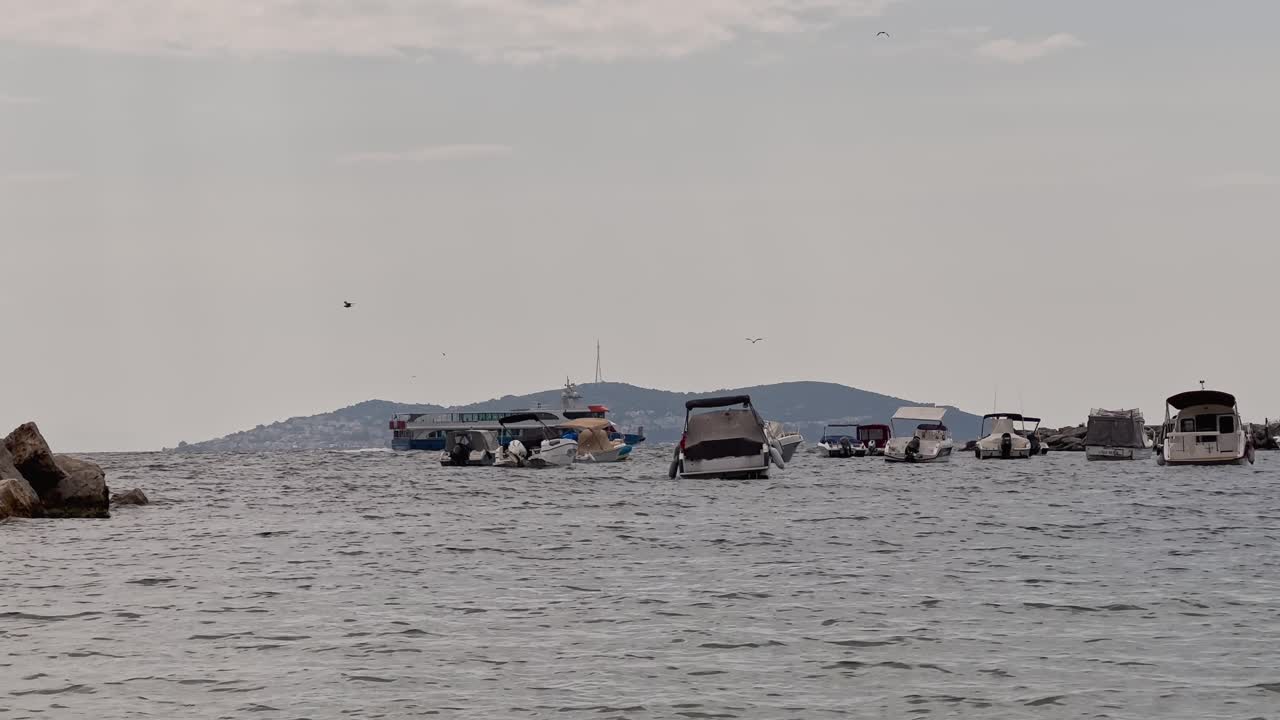 beach, waves in the sea; birds, seagulls flying