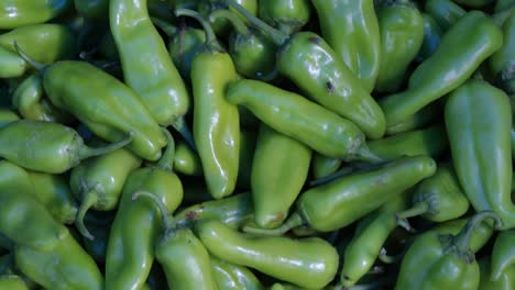 fresh-organic-green-chilli-from-farm-close-up-from-different-angle