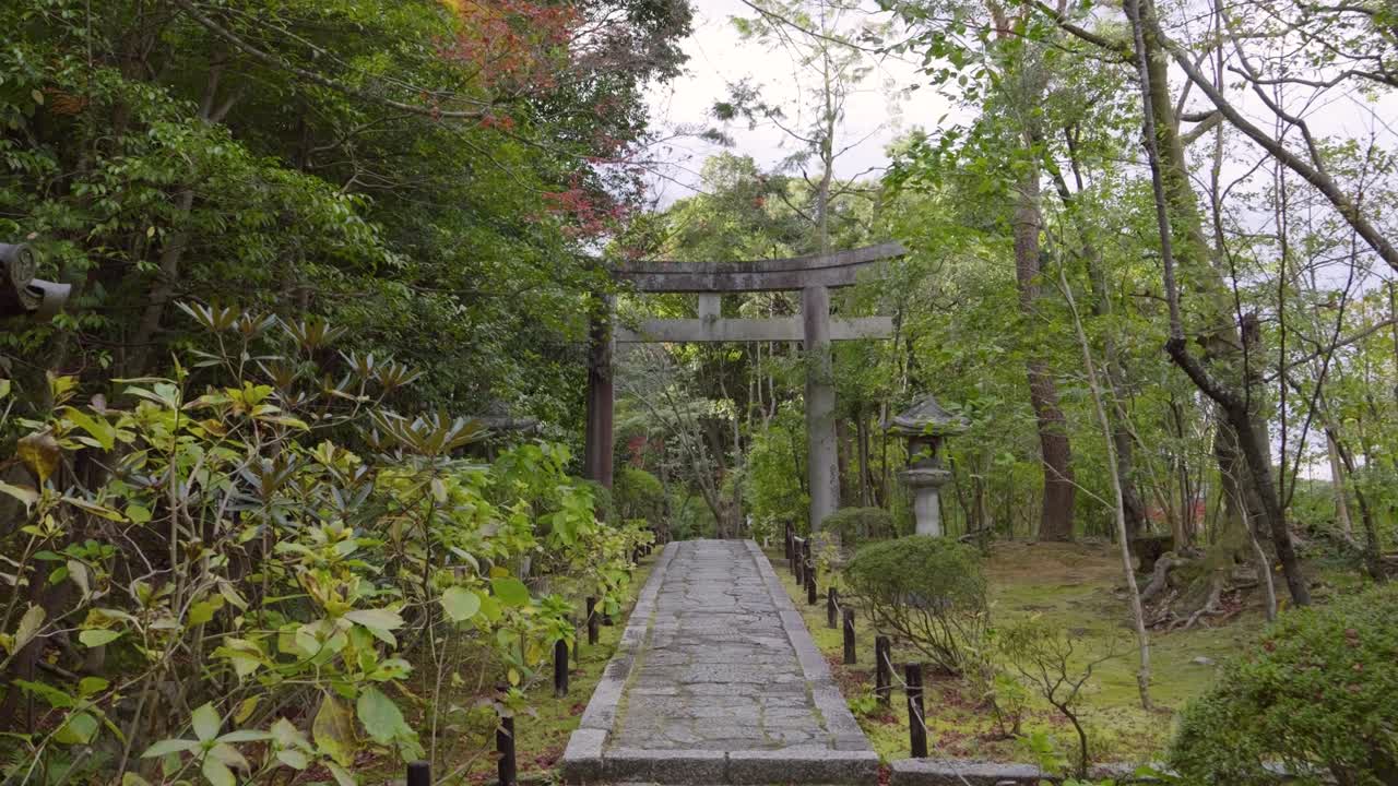 Slow cinematic dolly through Japanese landscape garden with stone torii gate