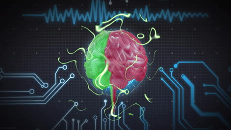 animación del cerebro humano y procesamiento de datos en una placa de circuitos