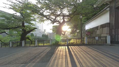 tokyo chidorigafuchi early morning 2022