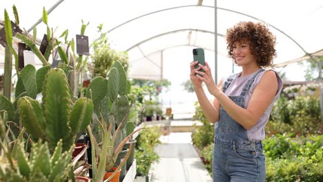 gardener taking pictures of cacti in greenhouse
