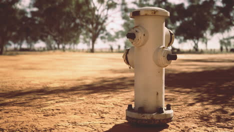 fire hydrant standing alone on a dry landscape under the sun