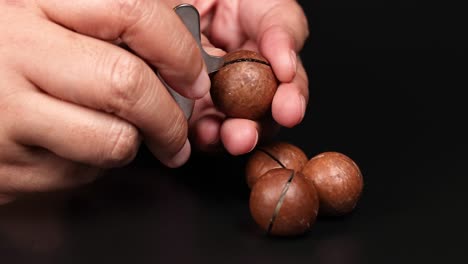 Hands cracking macadamia nuts with a tool