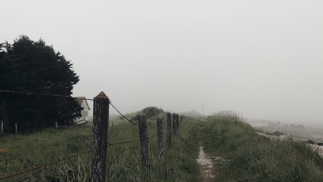 windy and foggy coast in normandy