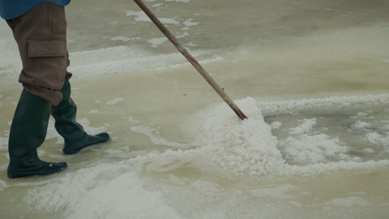 Manual Salt Harvesting in a Salt Field