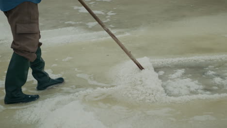 manual salt harvesting in a salt field