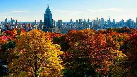 cityscape with fall foliage