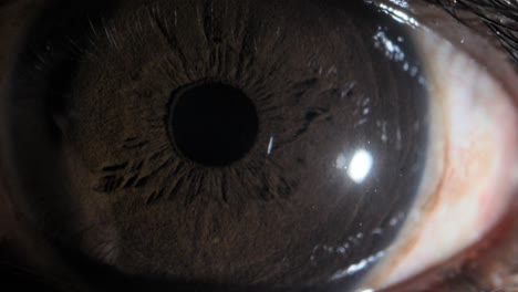 human brown eye extreme close up view