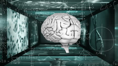 animación del cerebro humano y procesamiento de datos en pantallas en segundo plano