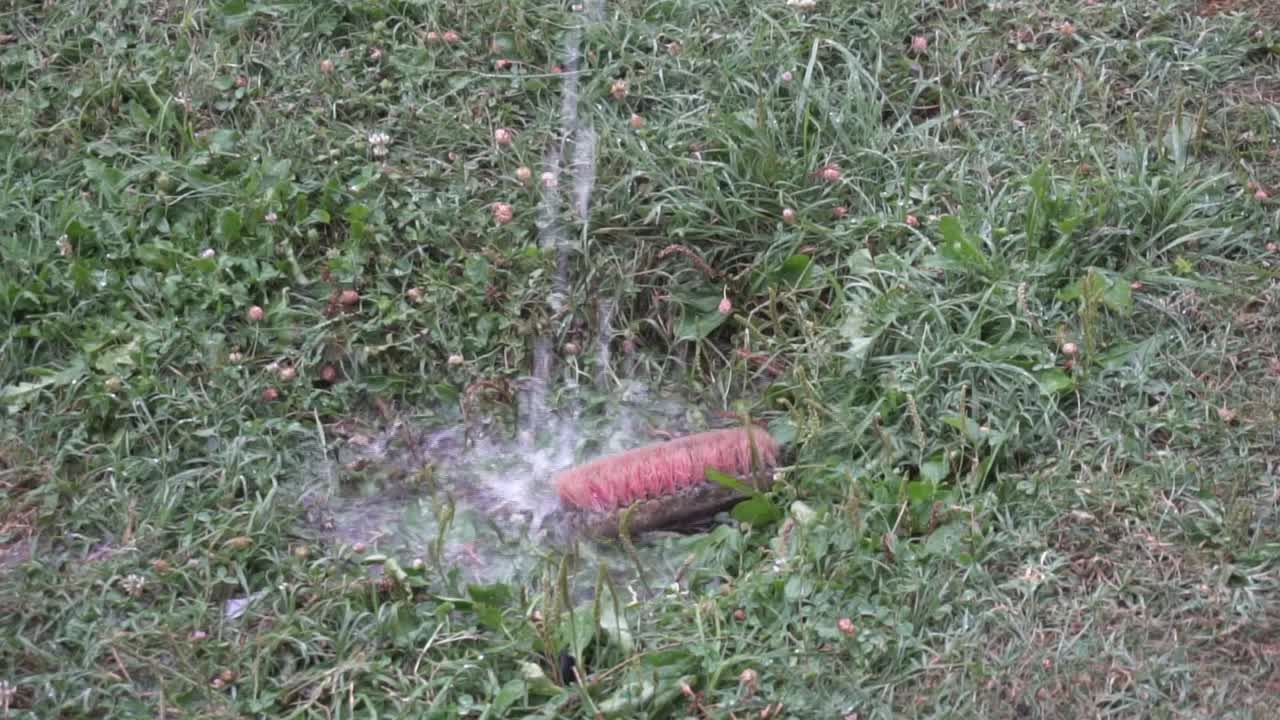 Washing a brush with a sprinkler in the grass