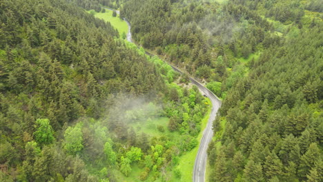 vista aérea de uma estrada de montanha sinuosa entre pinheiros localizados nos pirenéus