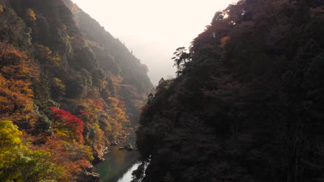 慢慢向左移动的无人机视图 太阳淹没的河谷与秋天的树叶