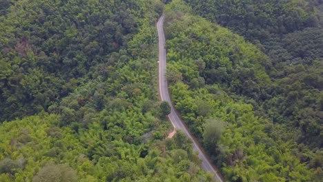 vuelo de drones hacia adelante sobre la carretera a través de verde