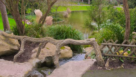 río y estanque en el parque jardin des plantes d'angers en angers, francia - primer plano