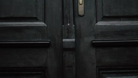 a dark wooden door on an old castle in the park with a golden handle, tilt up