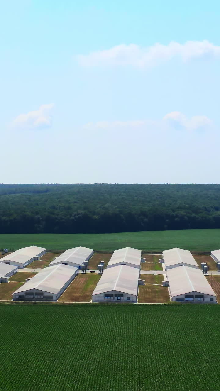 Farm on green landscape. Agriculture business on field in summer. Modern barn houses on beautiful nature background. Aerial view. Vertical video