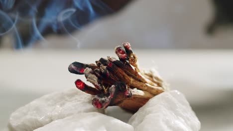 person holding palo santo wood stick in hand, aromatic palo santo burning on black background, smoke spreading around, slow motion video clip, high quality 4k close up footage. high quality 4k footage