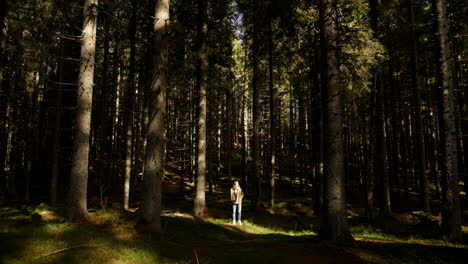 woman standing in a sunlit forest