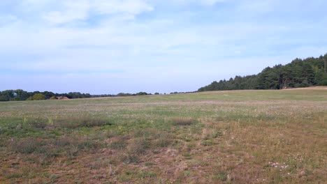 Wundervoller-Flug-Von-Oben-Aus-Der-Luft,-Iljuschin-Flugzeuge-Am-Boden