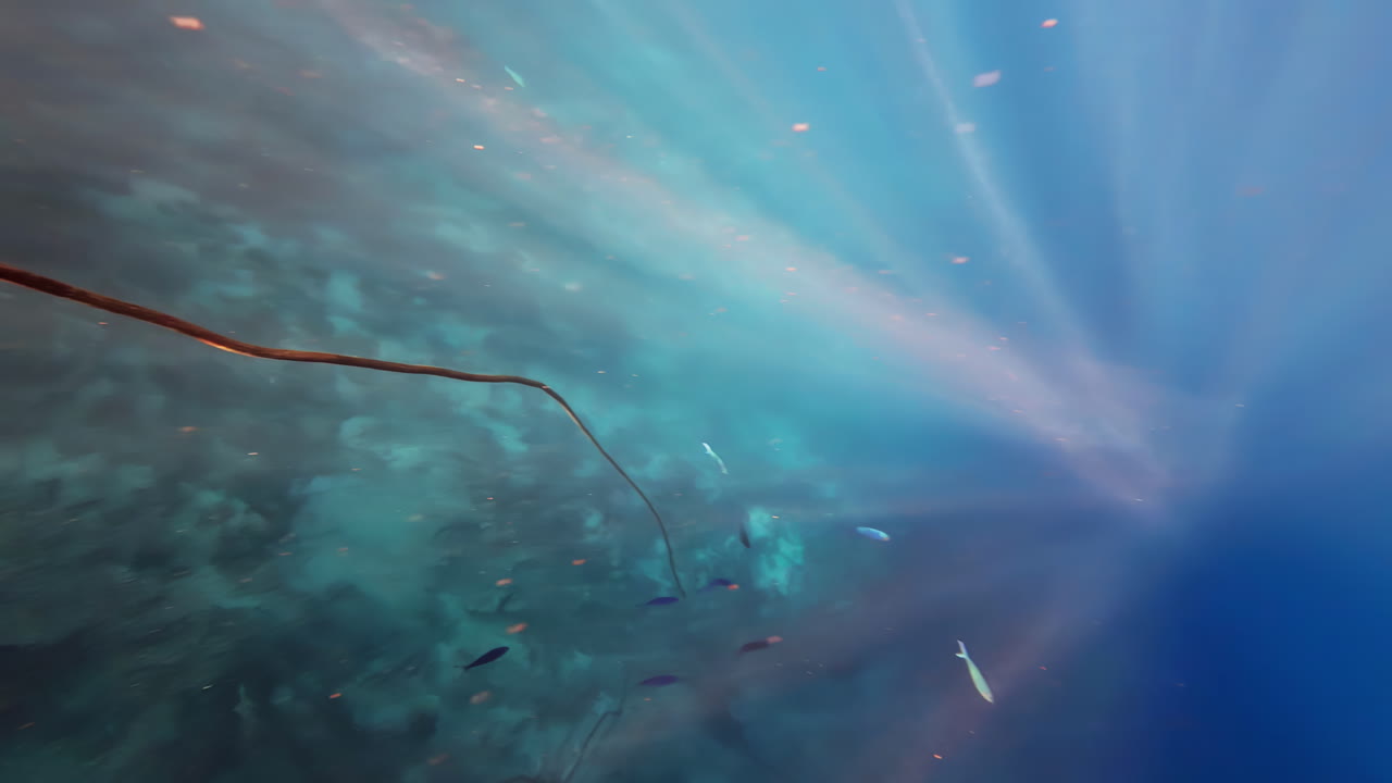 꿈과 같은 이집트의 은 바다의 수중 풍경