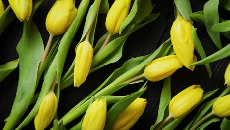 Beautiful-yellow-tulips-on-black-rustic-wooden-background--Top-view