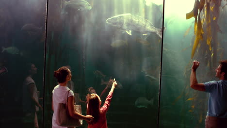 family looking at fish tank