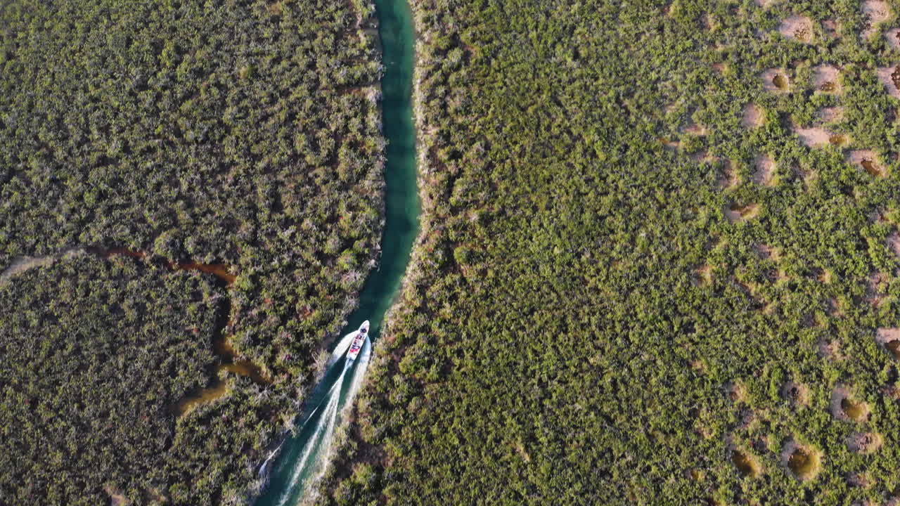 Ripresa da drone di una barca che naviga nell'ecosistema di mangrovie di Sian Ka'an in Messico
