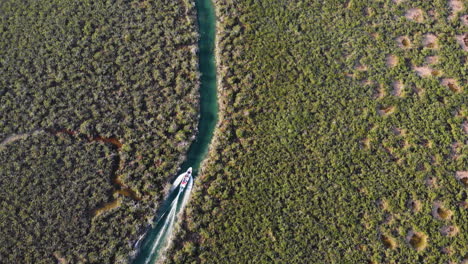 Drohnenaufnahme-Eines-Bootes,-Das-Im-Mangroven-Ökosystem-Von-Sian-Ka&#39;an-In-Mexiko-Segelt