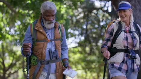 una pareja de ancianos haciendo senderismo en la naturaleza.