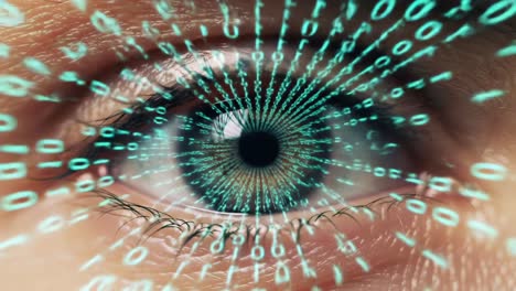 an intricate digital eye: exploring the intersection of vision and data representation through binary patterns and futuristic imagery