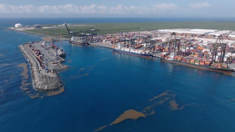 Cargo-ships-lined-up-under-port-cranes-at-Multimodal-Caucedo-Port,-Boca-Chica