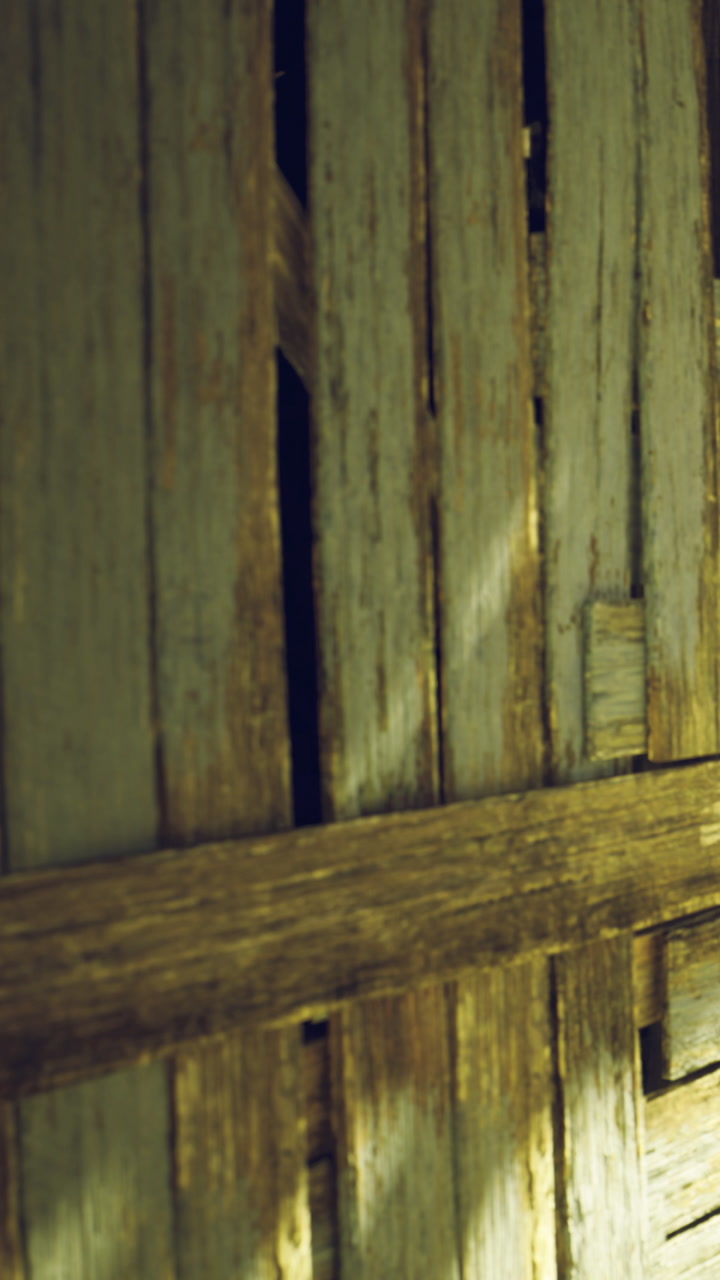 Weathered wooden planks tell stories of time and natures embrace
