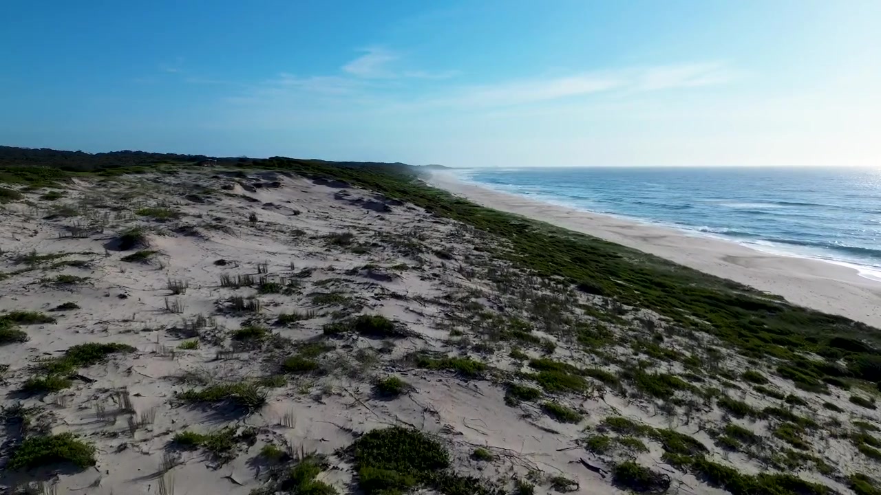 Drohnen-Luftaufnahme einer Sanddünen-Renaturierung mit Pflanzen und Wellen, die an der Küste des Ozeanstrandes brechen, Himmel, Central Coast Australien, Natururlaub