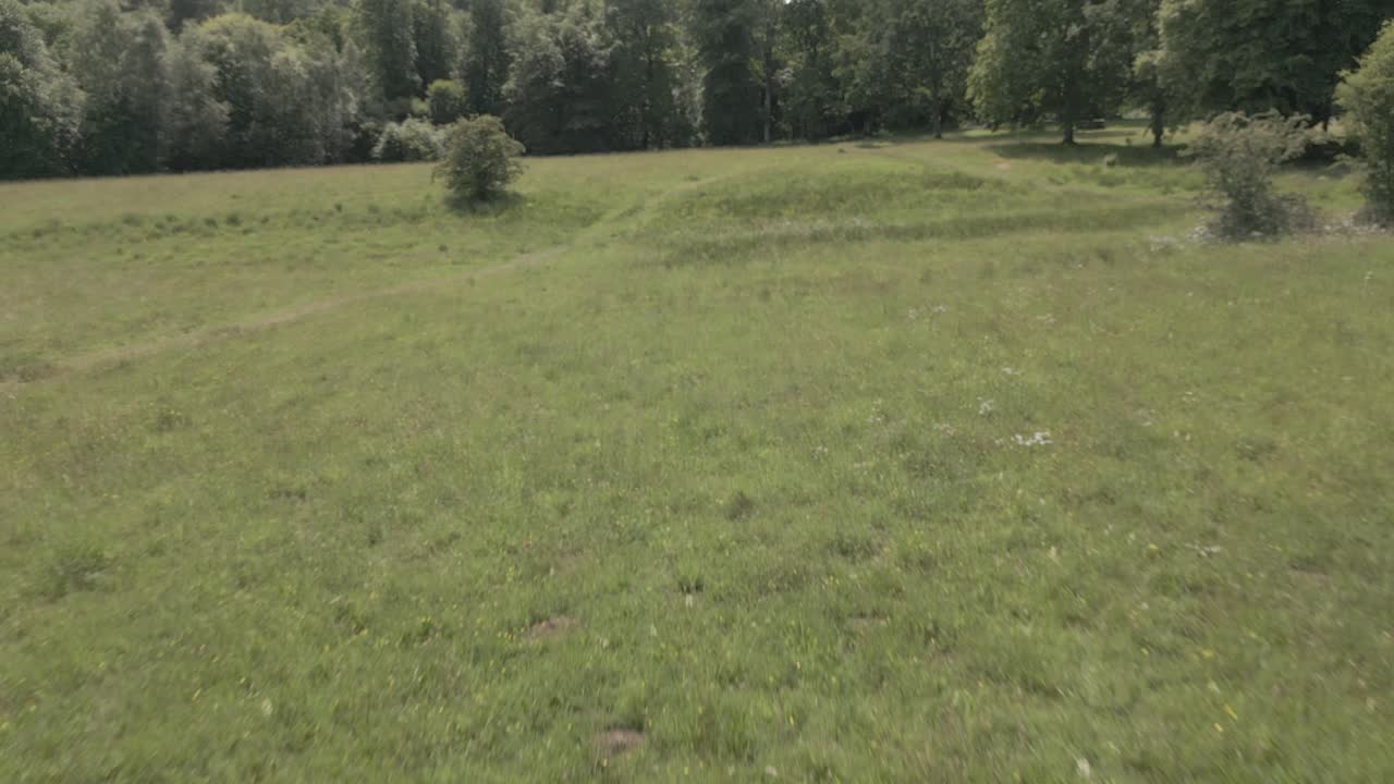 la exuberante hierba verde de un prado, el follaje y los árboles capturados por un avión no tripulado