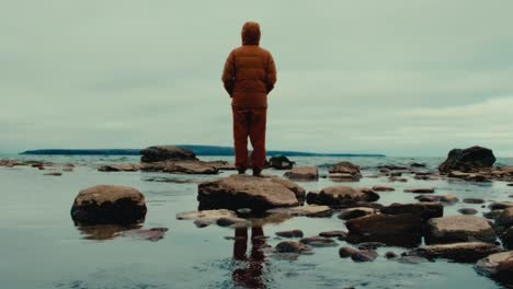 standing solitary on a rocky outcrop, a lone figure gazes into the distance, the vastness of nature, the essence of self-reflection and introspection found