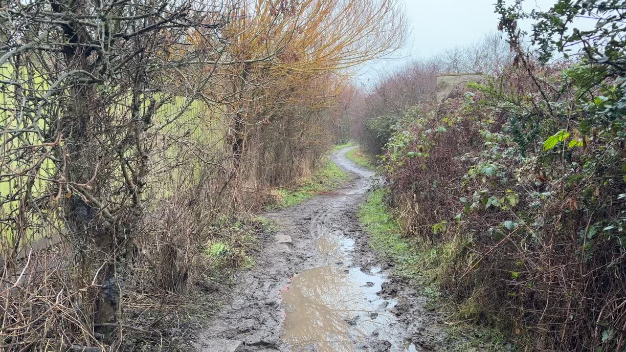 Gåtur gennem skovparkens natur i blæsevejr i det kolde engelske landskab, Storbritannien, våd mudret sti