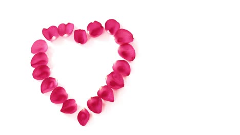 rose petals forming heart shape against white background