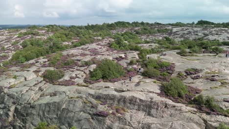 fjallbacka cliff and heath drone pan