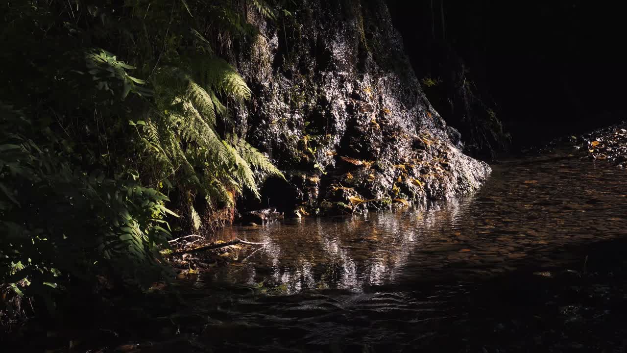 arroyos, arroyos y algunas gotas de agua fresca y transparente que fluyen a través de las piedras y el bosque