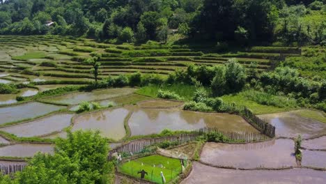 iran agriculture nature landscape the local people farmer family working on terraced rice paddy farm field the mud pond seedling rice produce mountain agriculture product food in forest rural village