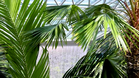 lush palm fronds gently move in front of a large indoor waterfall, with natural daylight streaming through a geometric glass ceiling in a modern conservatory