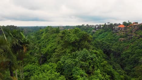 Beautiful-cinematic-Ubud,-Bali-drone-footage-with-exotic-rice-terrace,-small-farms,-village-houses-and-agroforestry-plantation