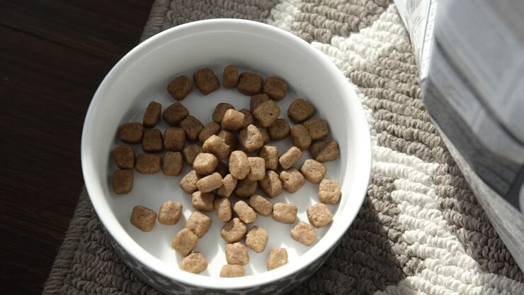 A spoonful of cat food being dropped into a bowl on a sunny day