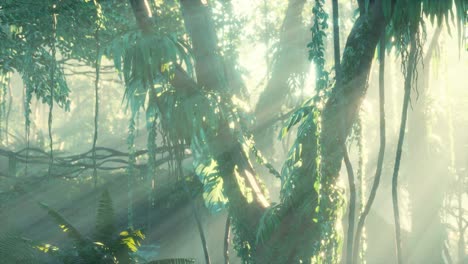 deep tropical jungle rainforest in fog