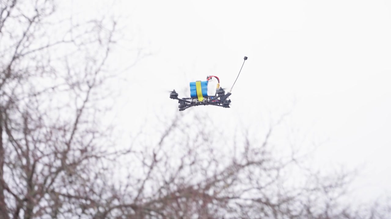 FPV-drönare som flyger nära kala träd och visar smidig rörelse och kontroll i utomhusmiljö.