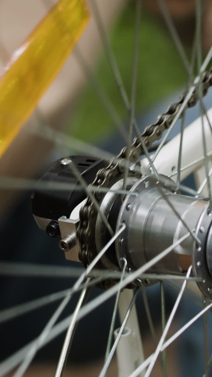 Bicycle Rear Wheel and Chain Close-up